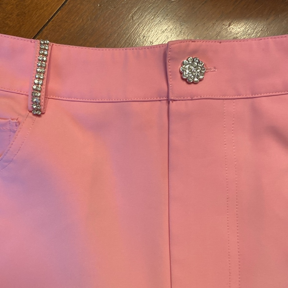 LPA/Revolve Rhinestone Trim Pants - Picture 4 of 6